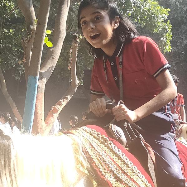 Fun Ride